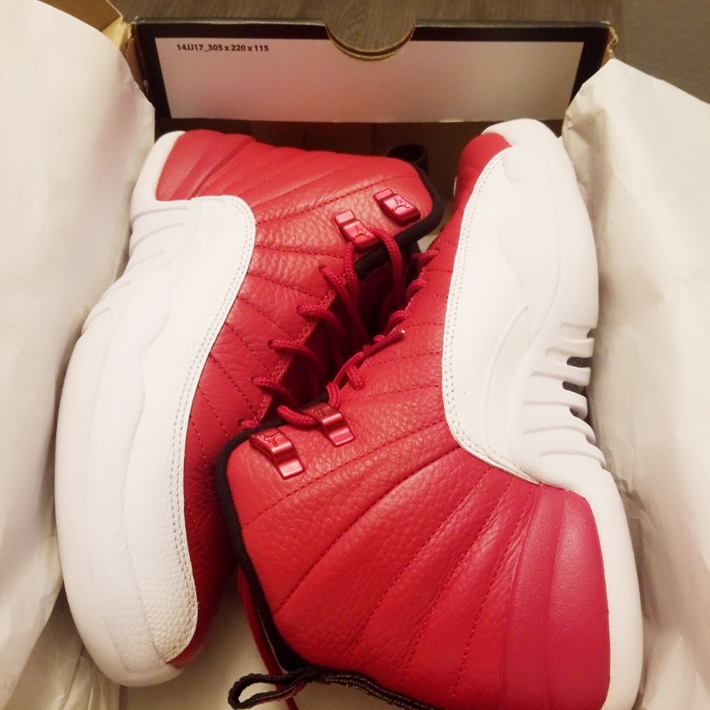 Jordan retro 12